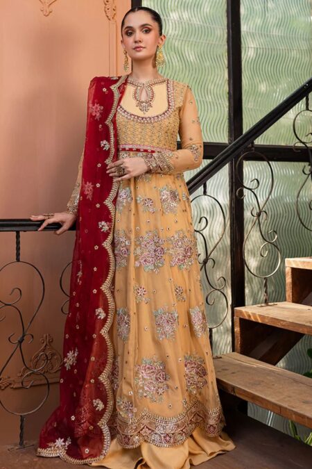 Roheenaz Chiffon 24 D 07 Aylin Naira