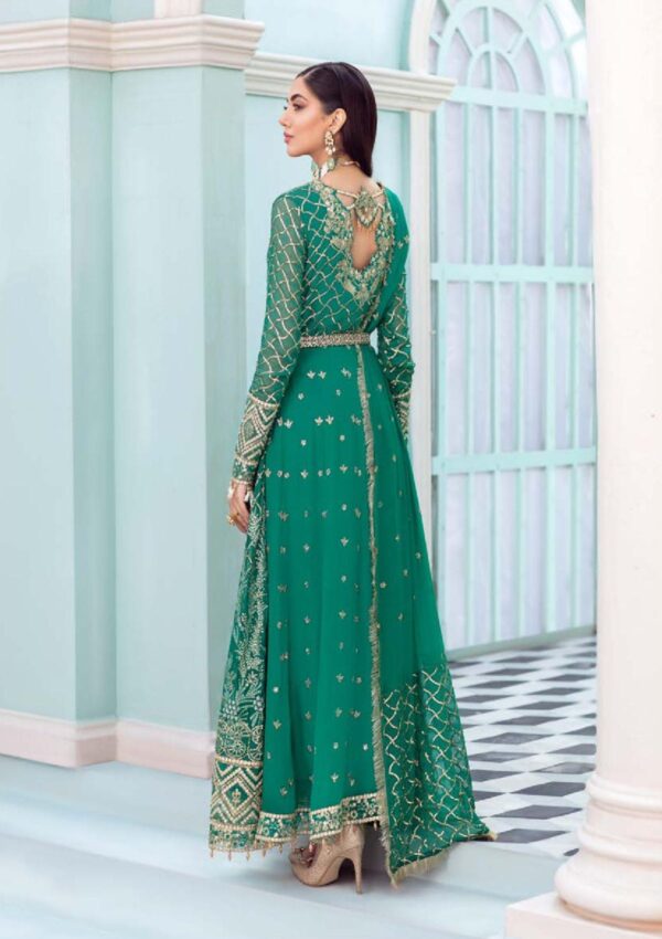 Roheenaz Rch 22 08 Kalidar