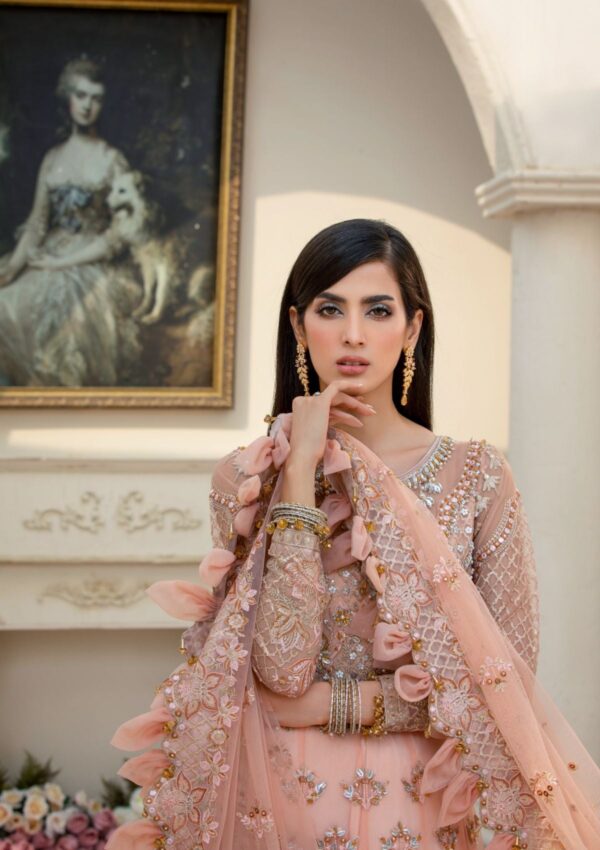 Rubaaiyat Bella D 02 Handwork Wedding 23 Formal Collection - Image 11