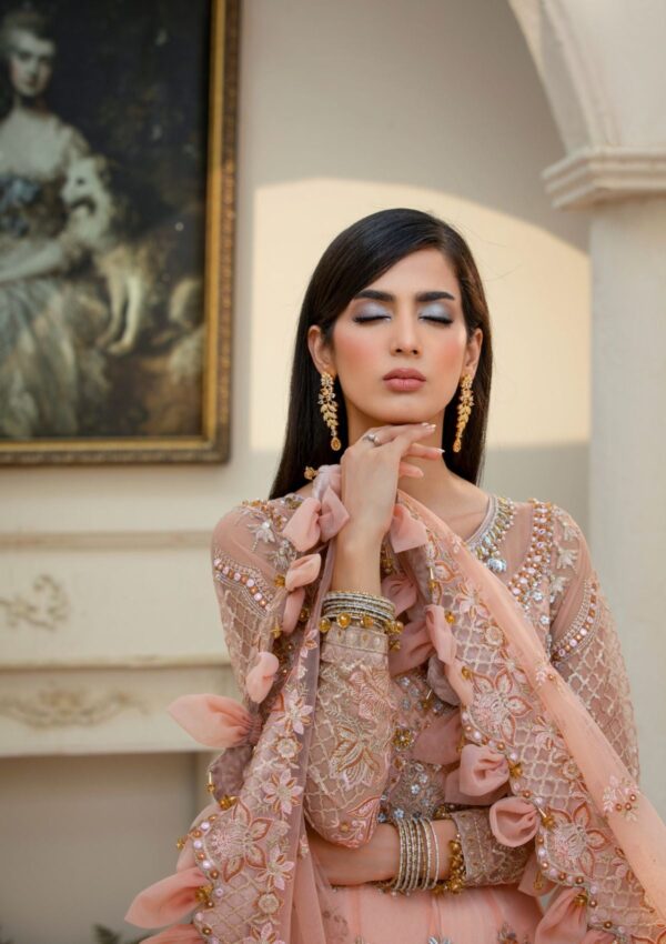 Rubaaiyat Bella D 02 Handwork Wedding 23 Formal Collection - Image 12