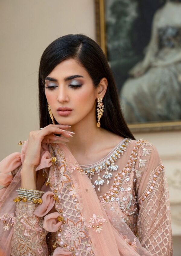 Rubaaiyat Bella D 02 Handwork Wedding 23 Formal Collection - Image 13