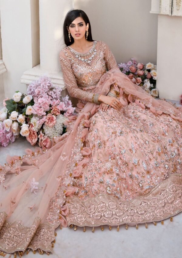 Rubaaiyat Bella D 02 Handwork Wedding 23 Formal Collection - Image 3