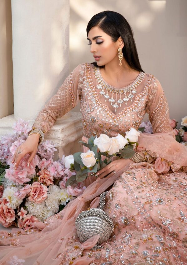 Rubaaiyat Bella D 02 Handwork Wedding 23 Formal Collection - Image 4