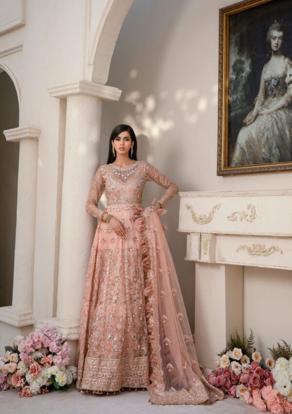 Rubaaiyat Bella D 02 Handwork Wedding 23 Formal Collection - Image 5