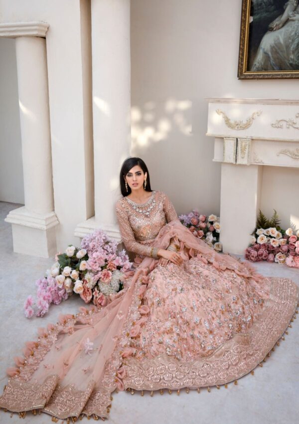 Rubaaiyat Bella D 02 Handwork Wedding 23 Formal Collection - Image 7