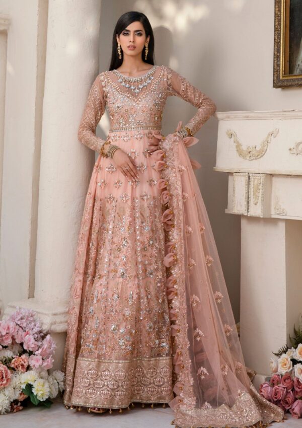 Rubaaiyat Bella D 02 Handwork Wedding 23 Formal Collection