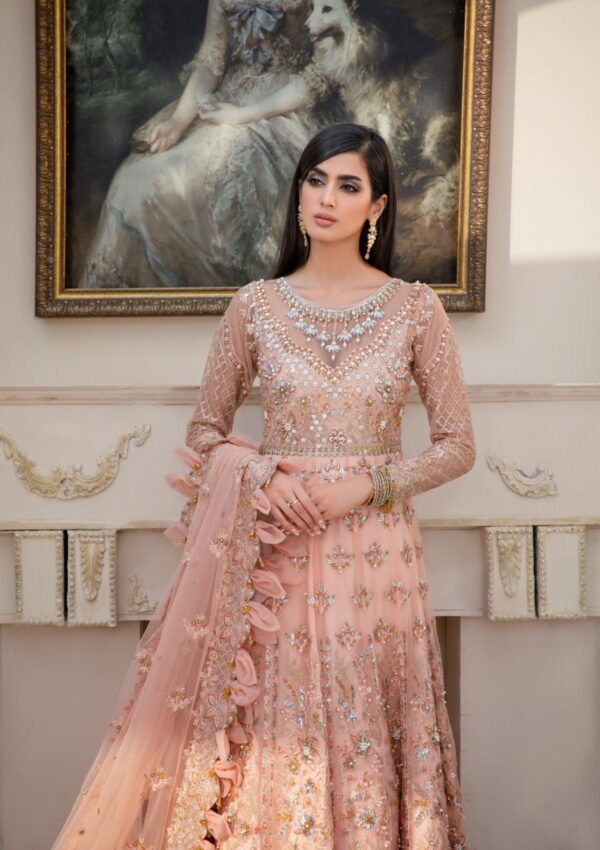 Rubaaiyat Bella D 02 Handwork Wedding 23 Formal Collection - Image 9