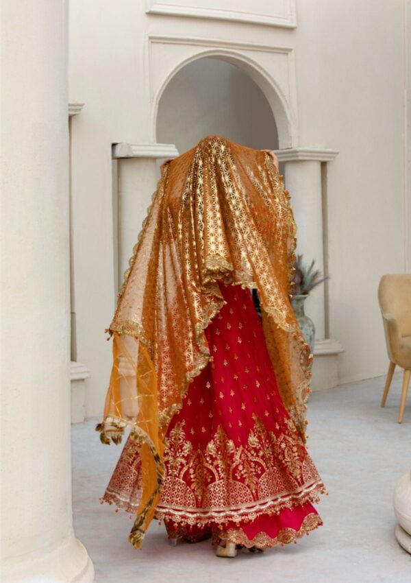 Rubaaiyat Crimson D 01 Handwork Wedding 23 Formal Collection - Image 11