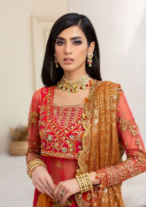 Rubaaiyat Crimson D 01 Handwork Wedding 23 Formal Collection - Image 13