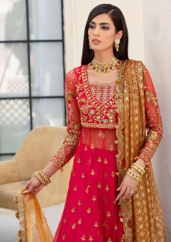 Rubaaiyat Crimson D 01 Handwork Wedding 23 Formal Collection - Image 14