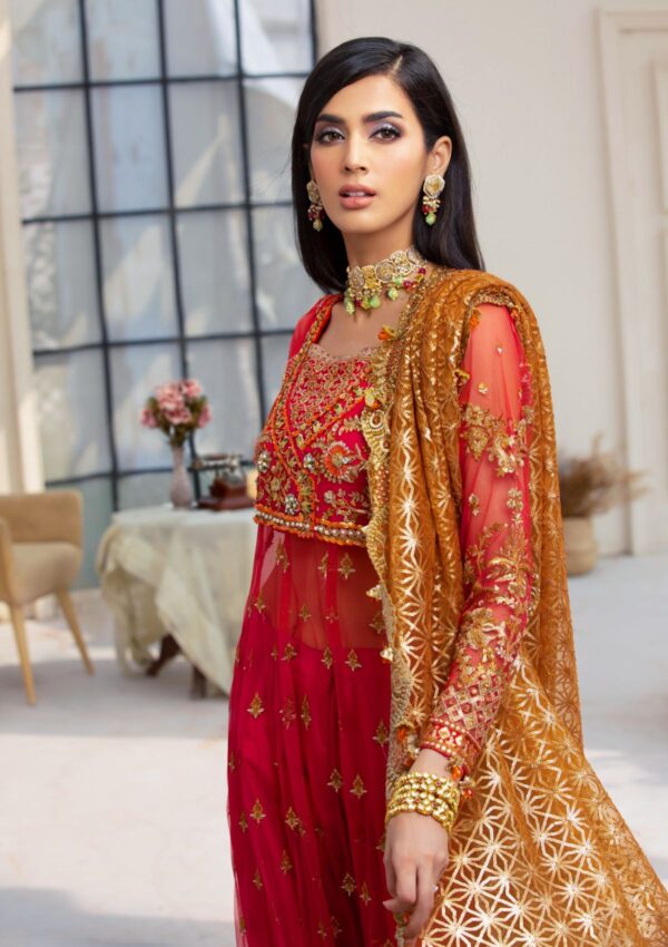 Rubaaiyat Crimson D 01 Handwork Wedding 23 Formal Collection - Image 15