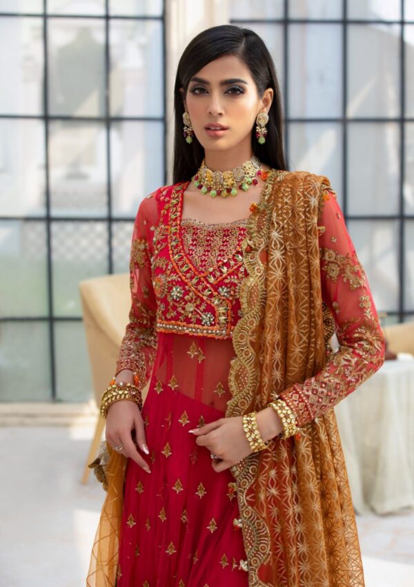 Rubaaiyat Crimson D 01 Handwork Wedding 23 Formal Collection - Image 16