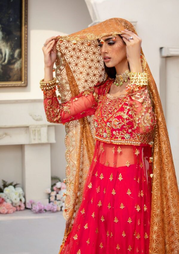 Rubaaiyat Crimson D 01 Handwork Wedding 23 Formal Collection - Image 17