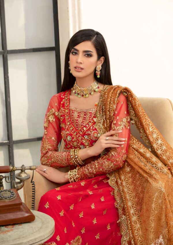 Rubaaiyat Crimson D 01 Handwork Wedding 23 Formal Collection - Image 18