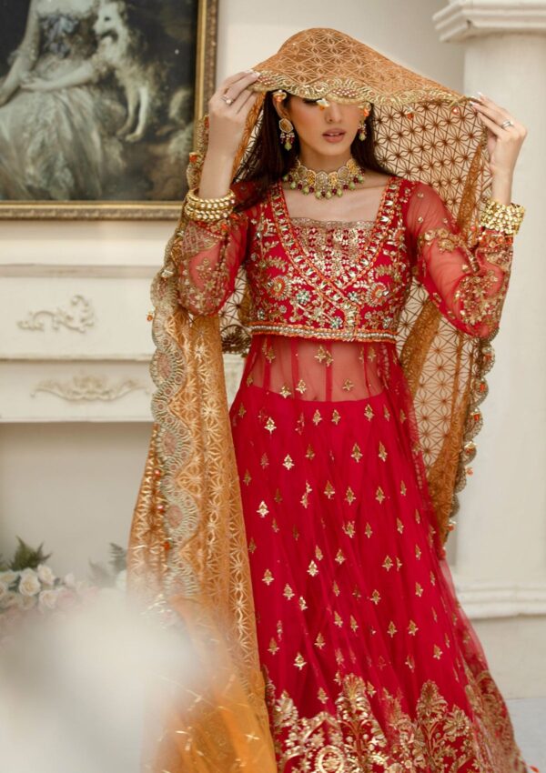 Rubaaiyat Crimson D 01 Handwork Wedding 23 Formal Collection - Image 3