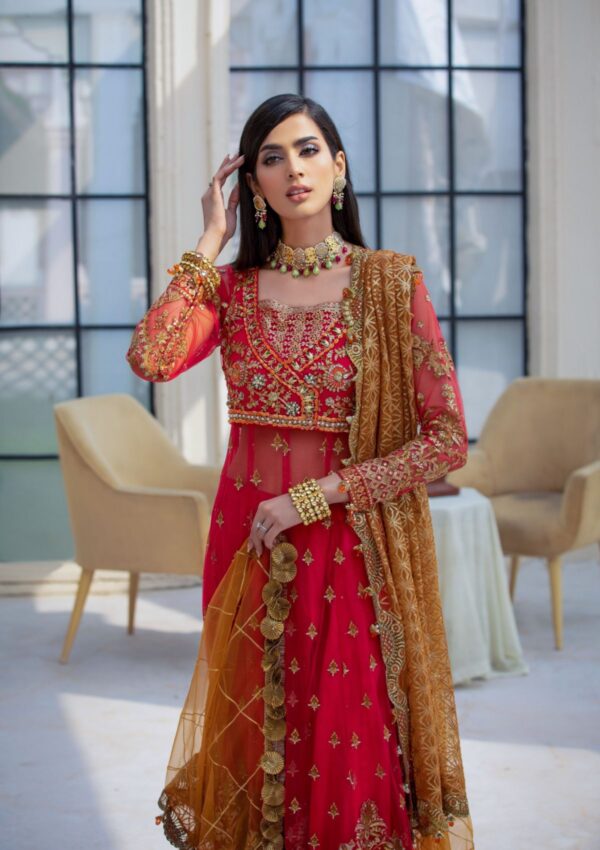 Rubaaiyat Crimson D 01 Handwork Wedding 23 Formal Collection - Image 22