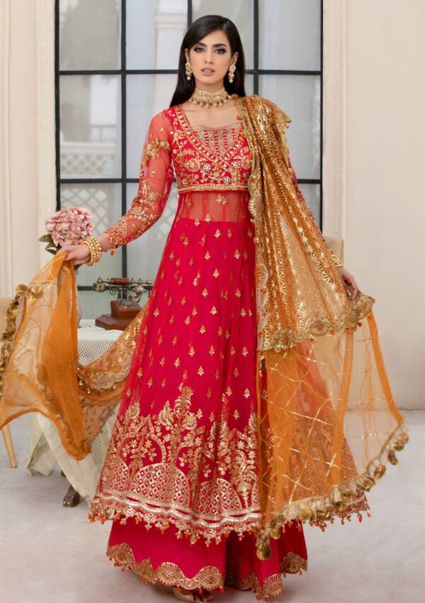 Rubaaiyat Crimson D 01 Handwork Wedding 23 Formal Collection