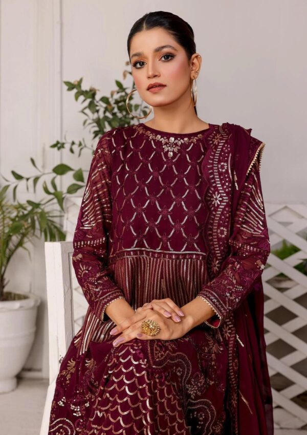 Rubaaiyat D 3 B Chiffon With Sequence