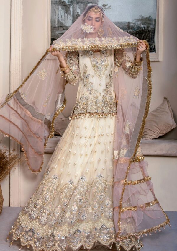 Rubaaiyat Daisy D 04 Handwork Wedding 23 Formal Collection - Image 18