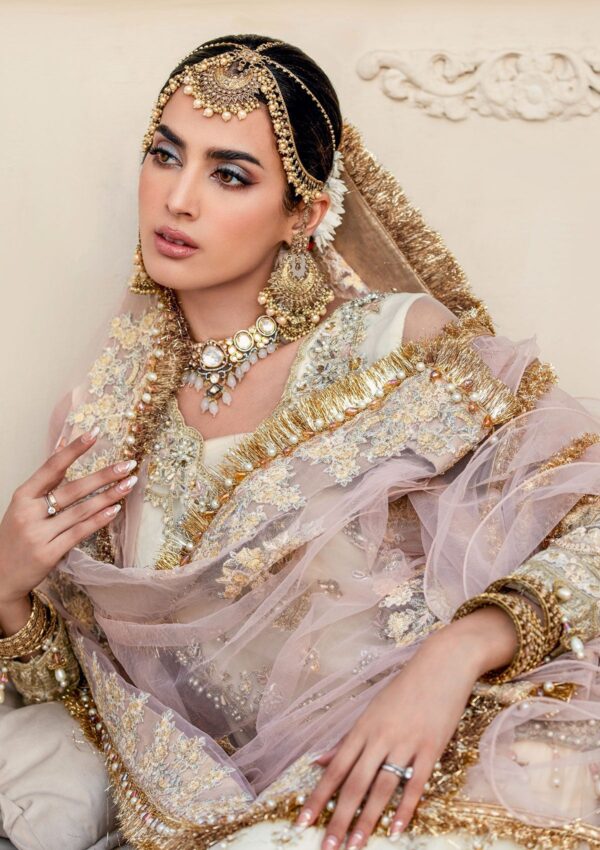 Rubaaiyat Daisy D 04 Handwork Wedding 23 Formal Collection - Image 4