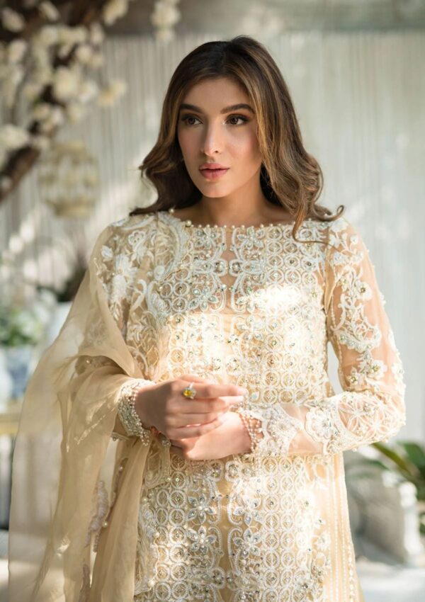 Saira Rizwan Festive Sr 04 Daisy Lumiere