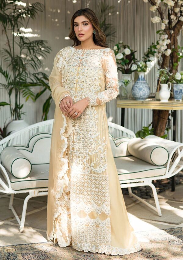 Saira Rizwan Festive Sr 04 Daisy Lumiere
