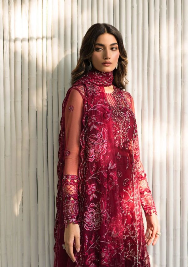 Saira Rizwan Festive Sr 06 Remy Lumiere