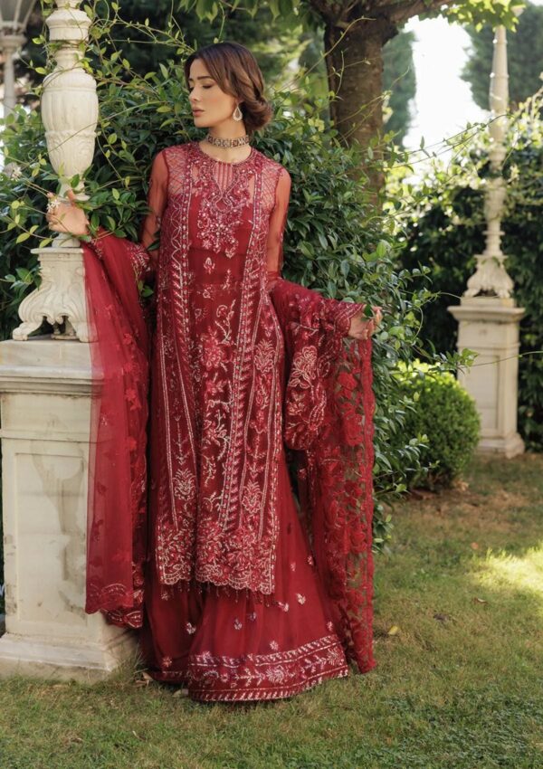 Saira Rizwan Festive Sr 06 Remy Lumiere