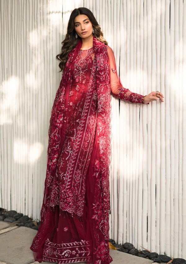 Saira Rizwan Festive Sr 06 Remy Lumiere