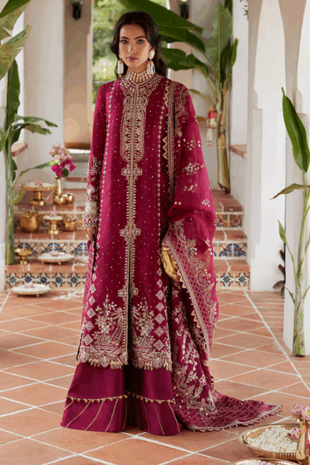 Suffuse Wedding Zaib Freeshia