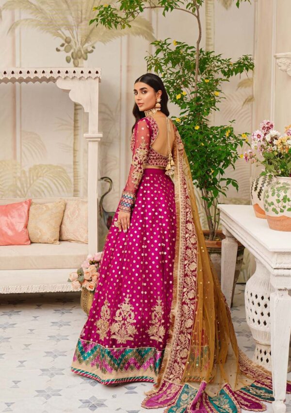 Zarqash Aira Rubaai Wedding