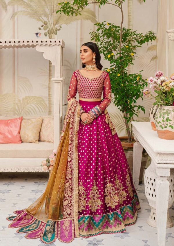 Zarqash Aira Rubaai Wedding