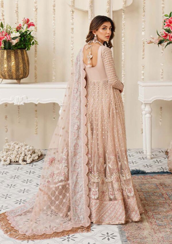 Zarqash Ayla Rubaai Wedding