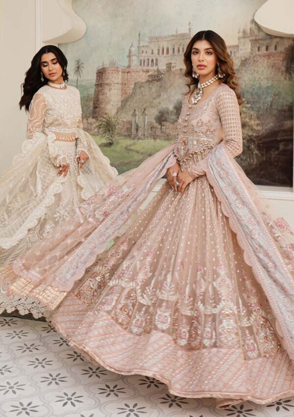 Zarqash Ayla Rubaai Wedding