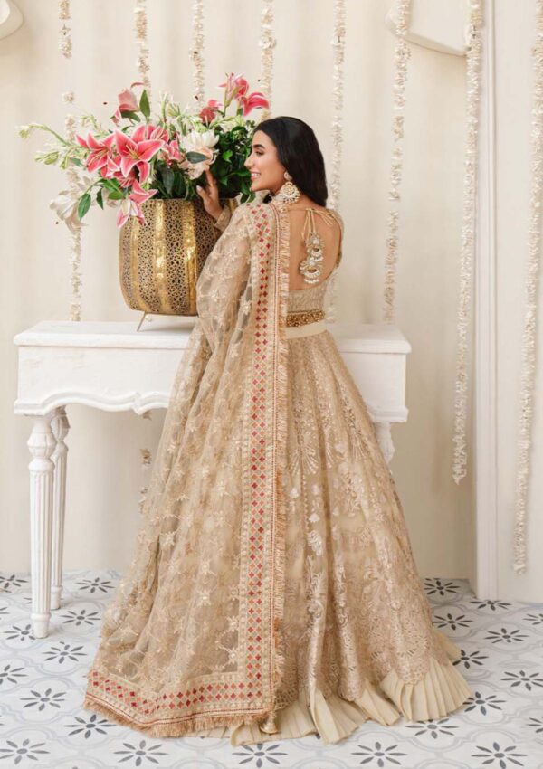 Zarqash Deya Rubaai Wedding