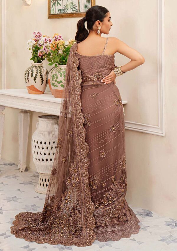 Zarqash Nora Rubaai Wedding