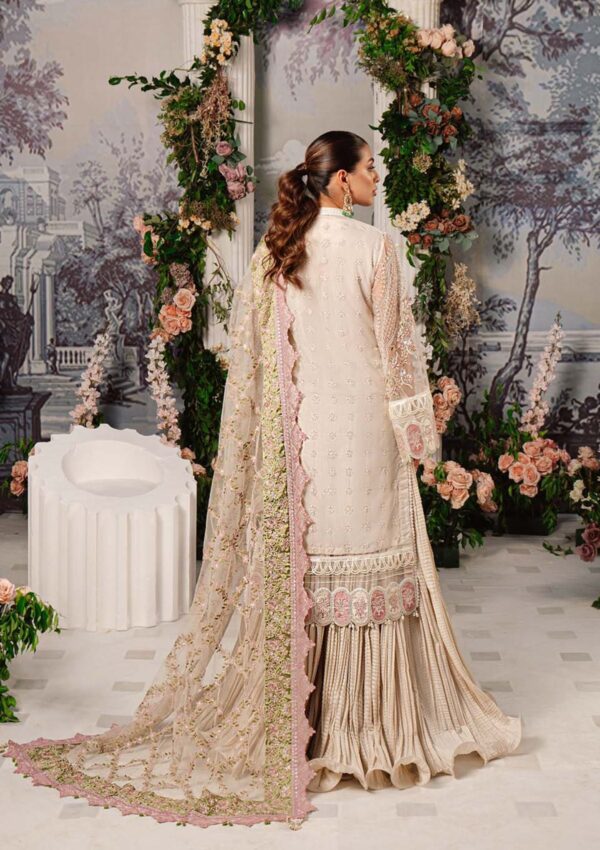 Zarqash Yara Rubaai Wedding