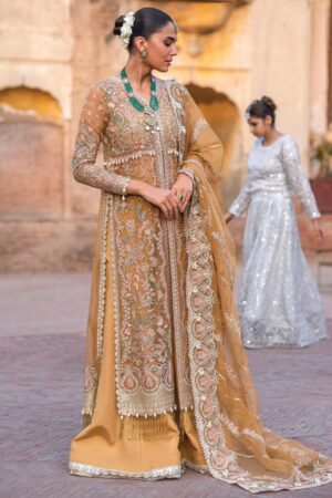 Afrozeh Wedding Shafaq D 09 Dastangoi