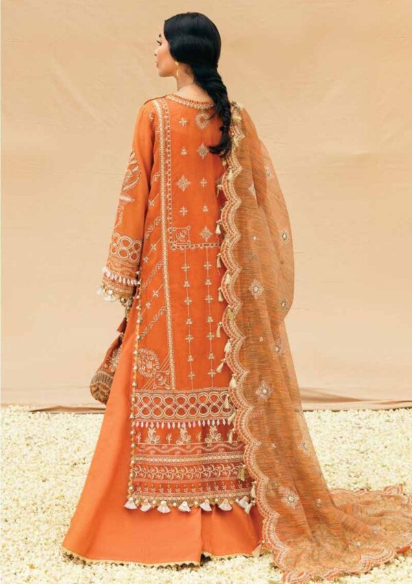 Afrozeh Amira D 9 Dhoop Kinaray