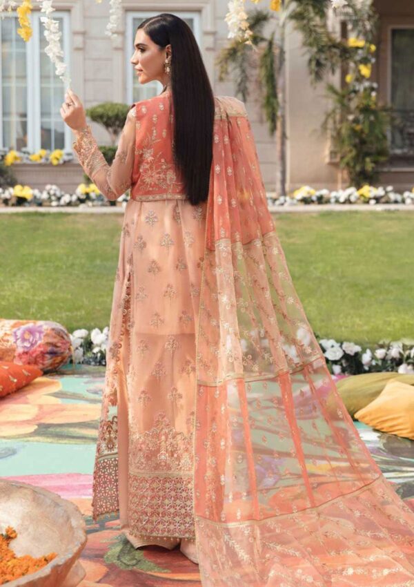 Afrozeh Wedding Jahanara Afs 05 Shehnai