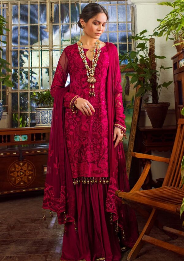 Al Zohaib (Fiana) D 1 Wedding Edition