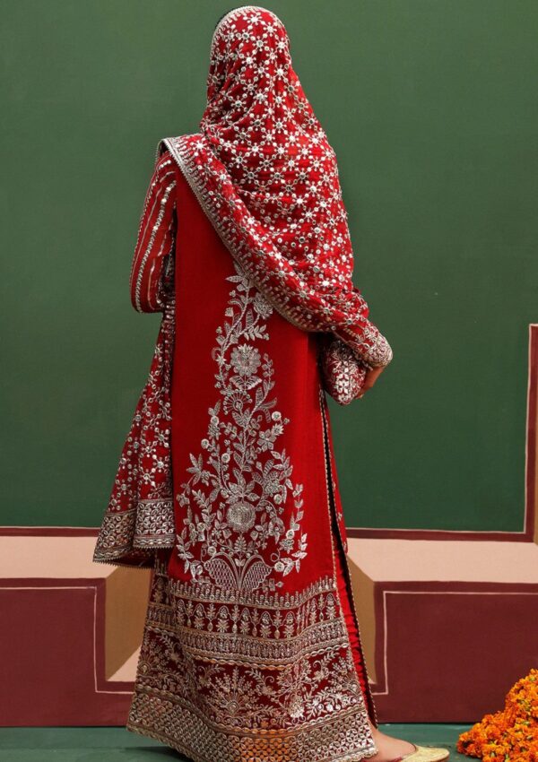 Afrozeh Sf24 02 Nishat Shehnai