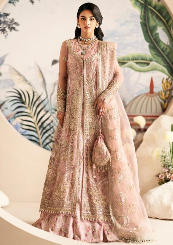 Alif Festive Formals Aff24 01 Begonia Inayat