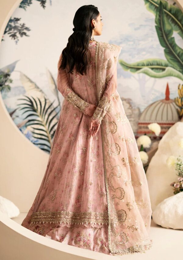 Alif Festive Formals Aff24 01 Begonia Inayat