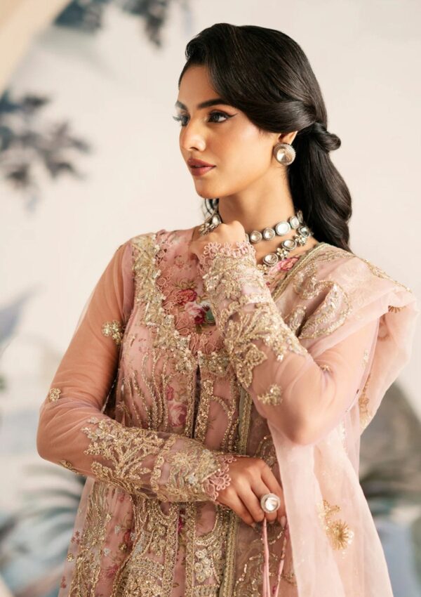 Alif Festive Formals Aff24 01 Begonia Inayat