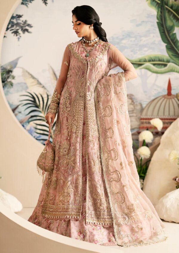 Alif Festive Formals Aff24 01 Begonia Inayat