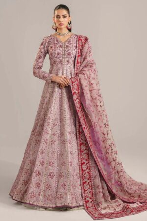 Akbar Aslam Asa24 1538 Farida Afsana