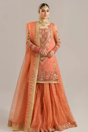 Akbar Aslam Asa24 1533 Begum Bano Afsana