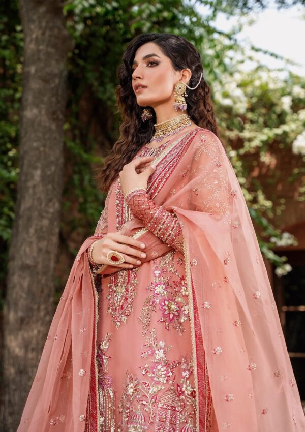 Akbar Aslam Asm24 1495 Mehrbano Mastani