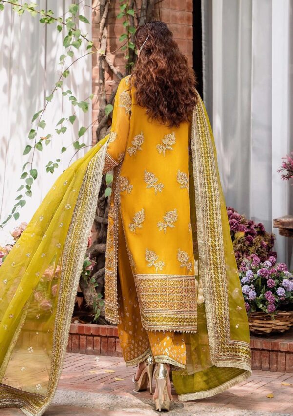 Akbar Aslam Asm24 1498 Rohi Mastani